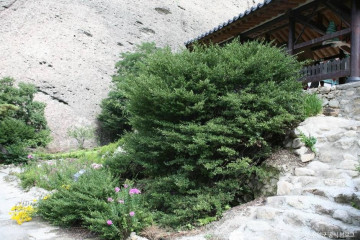 마이산 탑사 여행 추천 - 메고지고