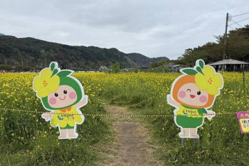 상맹방해변 여행 추천 - 메고지고