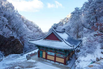 원주 운곡원천석묘역 여행 추천 - 메고지고