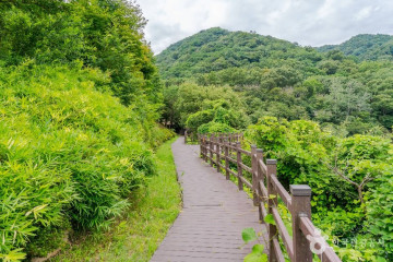구미시승마장 여행 추천 - 메고지고