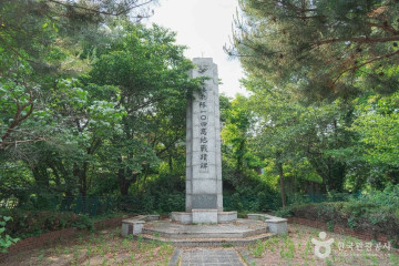 라이카시네마 여행 추천 - 메고지고
