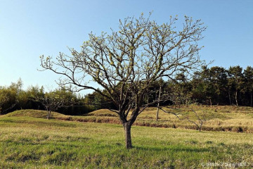 산들바다관광농원 여행 추천 - 메고지고