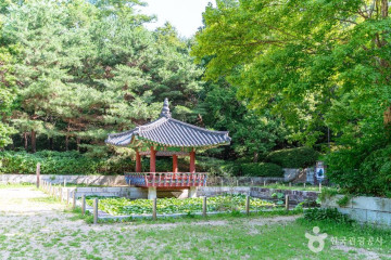 여래사 여행 추천 - 메고지고