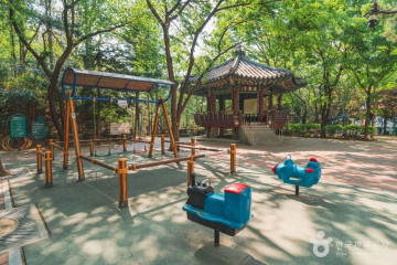 강남문화원 여행 추천 - 메고지고