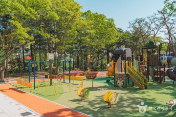 대모산숲속야생화원 여행 추천 - 메고지고