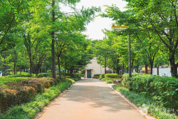 [서울둘레길 15코스] 노을·하늘공원코스 여행 추천 - 메고지고