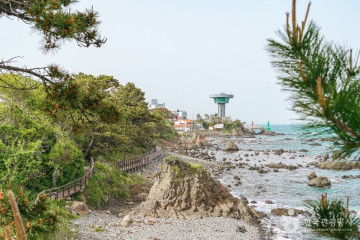 하서항 여행 추천 - 메고지고