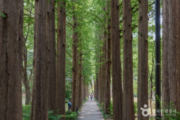 관문사(서울) 여행 추천 - 메고지고