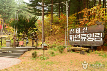 횡성 산채마을 여행 추천 - 메고지고