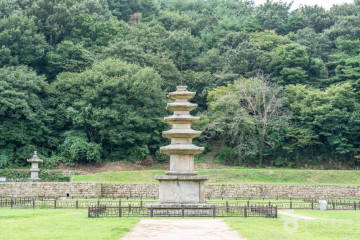 국립 용현자연휴양림 여행 추천 - 메고지고
