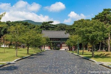 원효암(경산) 여행 추천 - 메고지고