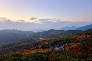 가야산 야생화식물원 여행 추천 - 메고지고