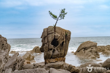 송지호 해수욕장 여행 추천 - 메고지고
