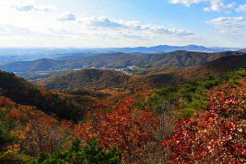 광교산 형제봉 여행 추천 - 메고지고