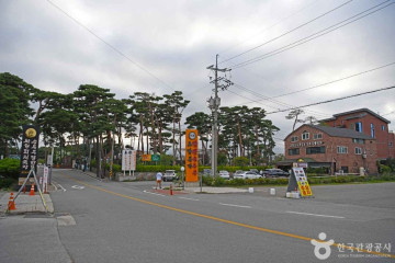 강문해변 여행 추천 - 메고지고