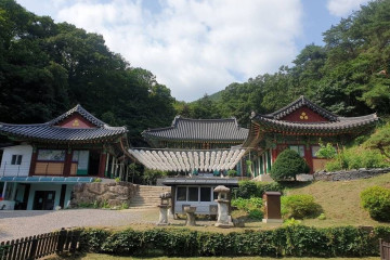 우석헌자연사박물관 여행 추천 - 메고지고