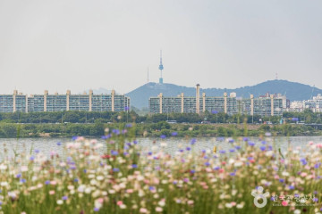 한생연 휴먼탐구과학관 여행 추천 - 메고지고