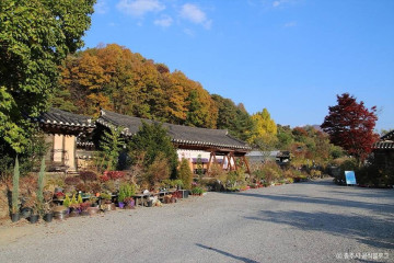 충주커피박물관 글램핑카라반펜션 여행 추천 - 메고지고