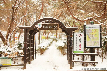 우이령 숲속문화마을(구 우이동 먹거리마을) 여행 추천 - 메고지고