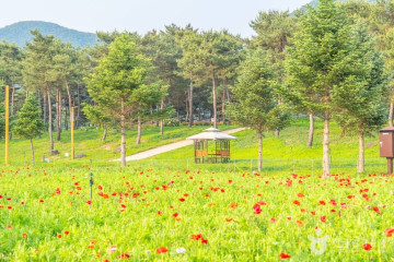 자라섬캠핑장 여행 추천 - 메고지고