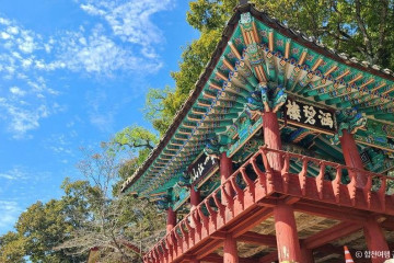 강양향교 여행 추천 - 메고지고