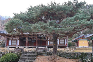 추원재(김종직선생생가) 여행 추천 - 메고지고