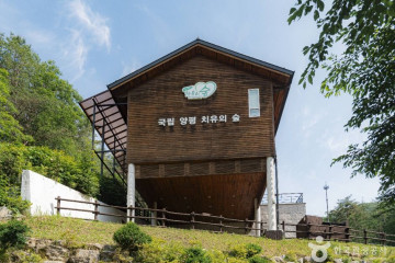 더포레스트 캠핑장 여행 추천 - 메고지고