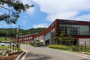 가야경 오토캠핑장 여행 추천 - 메고지고