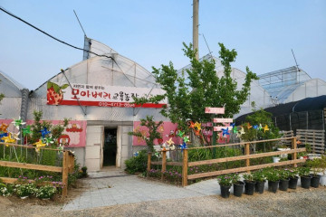 평화누리길 11코스 임진적벽길 여행 추천 - 메고지고