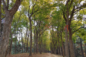 옥구공원 여행 추천 - 메고지고