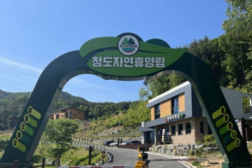 대견사 여행 추천 - 메고지고