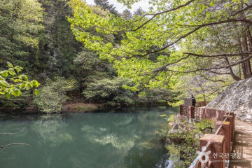 부산 어린이대공원 여행 추천 - 메고지고