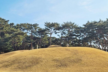 주식회사더정원의뜰 여행 추천 - 메고지고