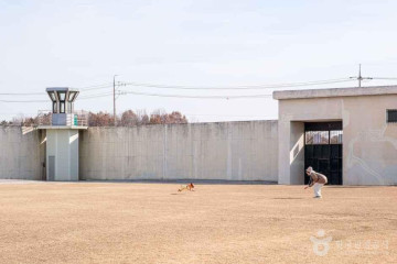 다송무지개매화마을 여행 추천 - 메고지고