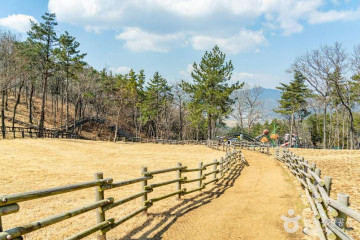 거제 명진리 느티나무 여행 추천 - 메고지고