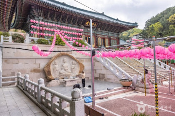 부산광역시교육청 창의융합교육원 여행 추천 - 메고지고