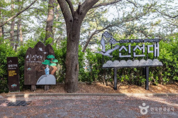 부산광역시남구시설관리공단 남구빙상장 여행 추천 - 메고지고