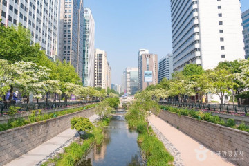 하이커 그라운드 여행 추천 - 메고지고