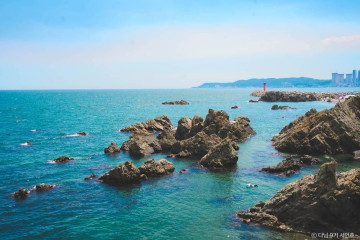 관성솔밭해변 여행 추천 - 메고지고