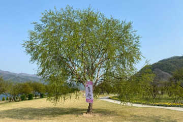 무척산 여행 추천 - 메고지고