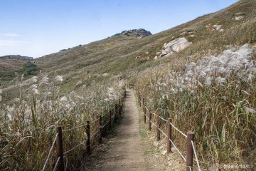 창녕 관룡사 용선대 석조여래좌상 여행 추천 - 메고지고