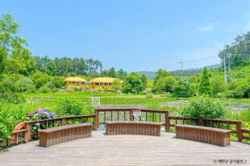 천리포항 여행 추천 - 메고지고