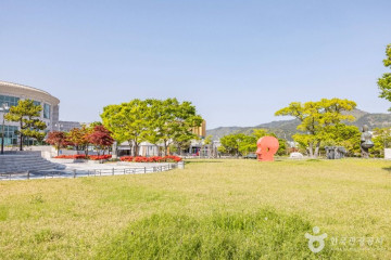 낙동강하구 (부산 국가지질공원) 여행 추천 - 메고지고