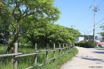 마린오토캠핑장 여행 추천 - 메고지고