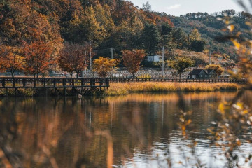 도피안사(철원) 여행 추천 - 메고지고