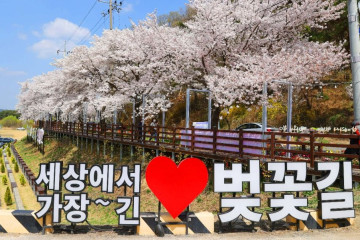 김정선생묘소일원 여행 추천 - 메고지고