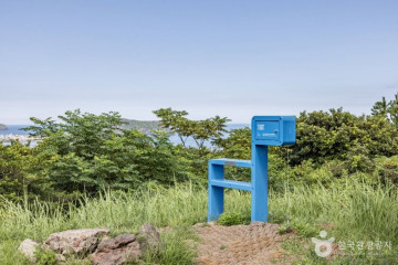 혼인지 여행 추천 - 메고지고