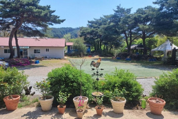 무주 솔밭야영장 여행 추천 - 메고지고