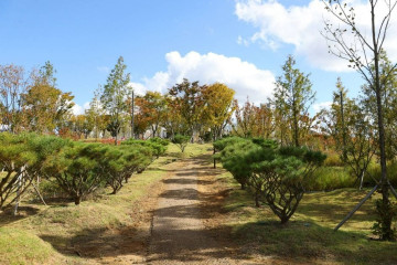 충주 임충민공 충렬사 여행 추천 - 메고지고