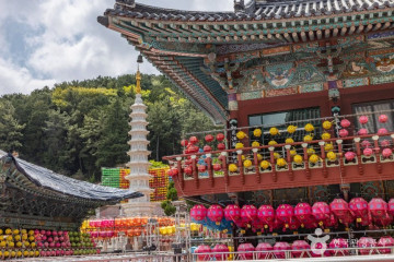 부산정중앙공원 여행 추천 - 메고지고